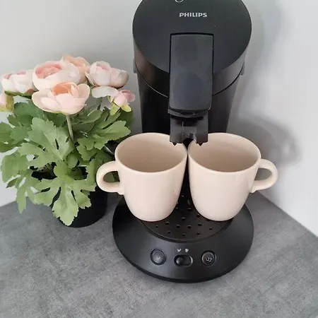 2 Pieces Apartamento Niza